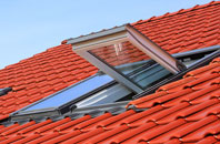 Mosspark roof window