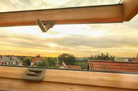 rated Mosspark roof window companies